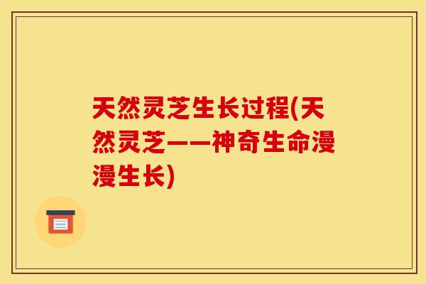 天然灵芝生长过程(天然灵芝——神奇生命漫漫生长) 天然灵芝生长过程(天然灵芝——神奇生命漫漫生长)