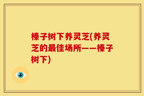 榛子树下养灵芝(养灵芝的佳场所——榛子树下) 榛子树下养灵芝(养灵芝的佳场所——榛子树下)