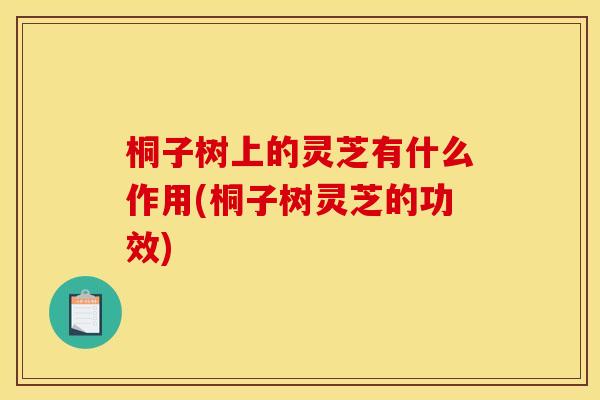 桐子树上的灵芝有什么作用(桐子树灵芝的功效) 桐子树上的灵芝有什么作用(桐子树灵芝的功效)