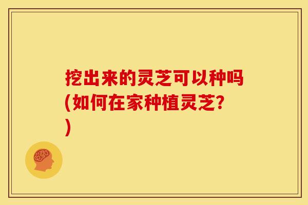 挖出来的灵芝可以种吗(如何在家种植灵芝?) 挖出来的灵芝可以种吗(如何在家种植灵芝?)
