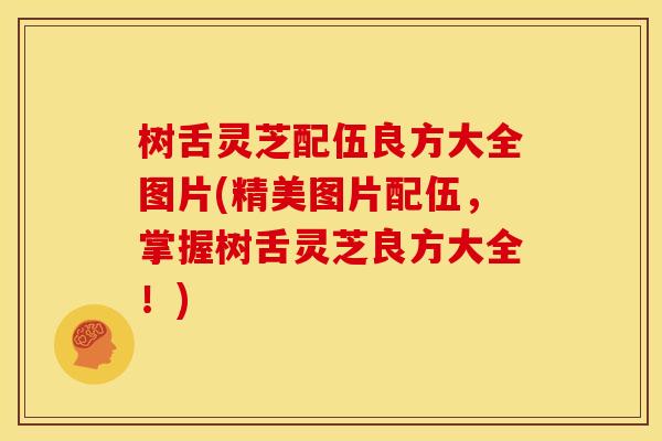 树舌灵芝配伍良方大全图片(精美图片配伍,掌握树舌灵芝良方大全!) 树舌灵芝配伍良方大全图片(精美图片配伍,掌握树舌灵芝良方大全!)