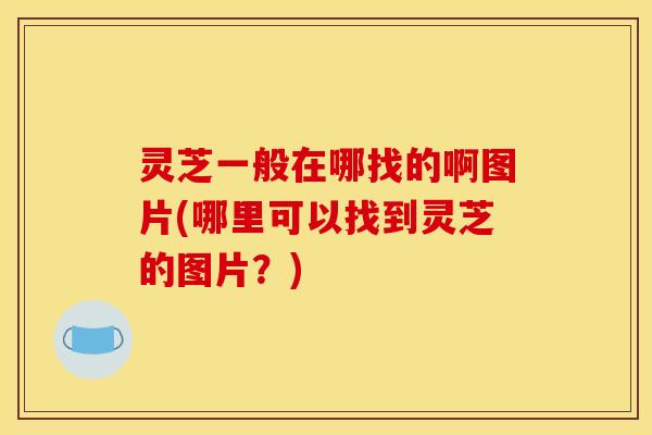 灵芝一般在哪找的啊图片(哪里可以找到灵芝的图片?) 灵芝一般在哪找的啊图片(哪里可以找到灵芝的图片?)