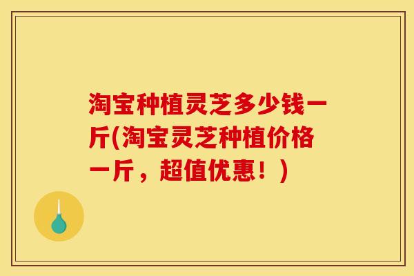 淘宝种植灵芝多少钱一斤(淘宝灵芝种植价格一斤,超值优惠!) 淘宝种植灵芝多少钱一斤(淘宝灵芝种植价格一斤,超值优惠!)