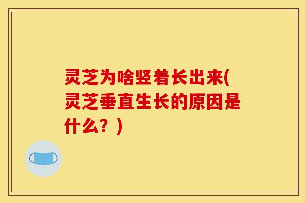 灵芝为啥竖着长出来(灵芝垂直生长的原因是什么?) 灵芝为啥竖着长出来(灵芝垂直生长的原因是什么?)