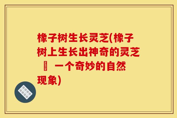 橡子树生长灵芝(橡子树上生长出神奇的灵芝 – 一个奇妙的自然现象)