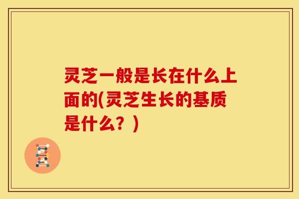 灵芝一般是长在什么上面的(灵芝生长的基质是什么?) 灵芝一般是长在什么上面的(灵芝生长的基质是什么?)