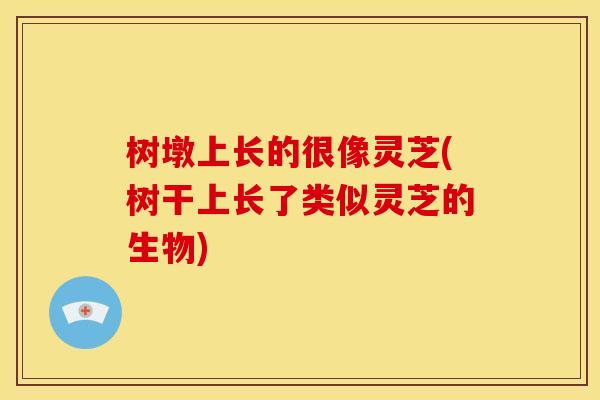 树墩上长的很像灵芝(树干上长了类似灵芝的生物) 树墩上长的很像灵芝(树干上长了类似灵芝的生物)