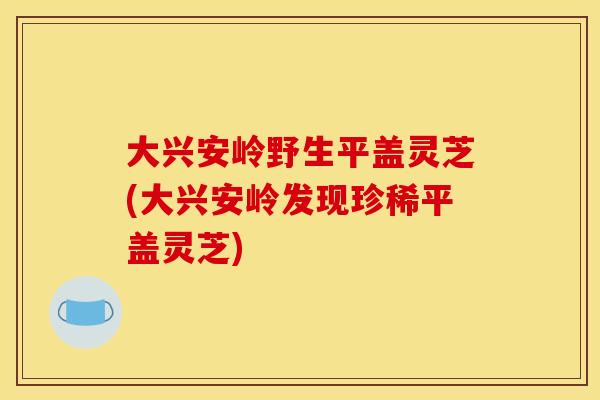 大兴安岭野生平盖灵芝(大兴安岭发现珍稀平盖灵芝) 大兴安岭野生平盖灵芝(大兴安岭发现珍稀平盖灵芝)