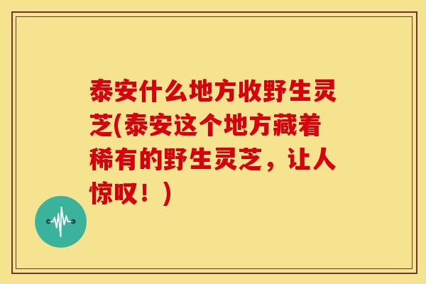 泰安什么地方收野生灵芝(泰安这个地方藏着稀有的野生灵芝,让人惊叹!) 泰安什么地方收野生灵芝(泰安这个地方藏着稀有的野生灵芝,让人惊叹!)