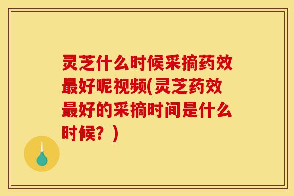 灵芝什么时候采摘好呢视频(灵芝好的采摘时间是什么时候?) 灵芝什么时候采摘好呢视频(灵芝好的采摘时间是什么时候?)