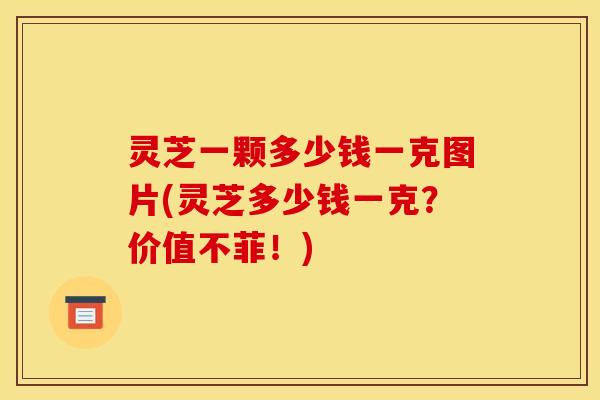 灵芝一颗多少钱一克图片(灵芝多少钱一克?价值不菲!) 灵芝一颗多少钱一克图片(灵芝多少钱一克?价值不菲!)