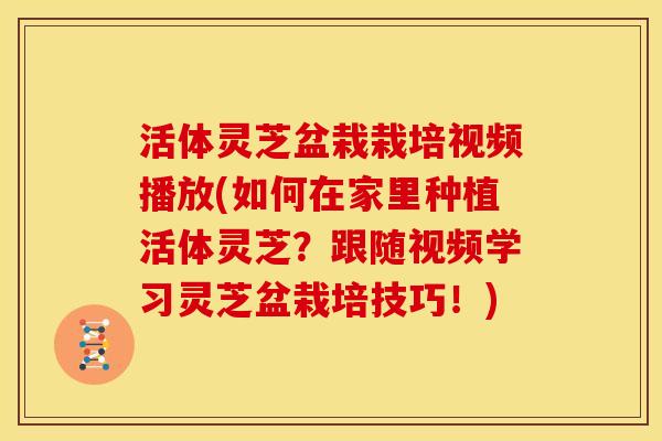 活体灵芝盆栽栽培视频播放(如何在家里种植活体灵芝?跟随视频学习灵芝盆栽培技巧!) 活体灵芝盆栽栽培视频播放(如何在家里种植活体灵芝?跟随视频学习灵芝盆栽培技巧!)