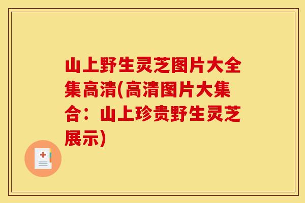 山上野生灵芝图片大全集高清(高清图片大集合:山上珍贵野生灵芝展示) 山上野生灵芝图片大全集高清(高清图片大集合:山上珍贵野生灵芝展示)