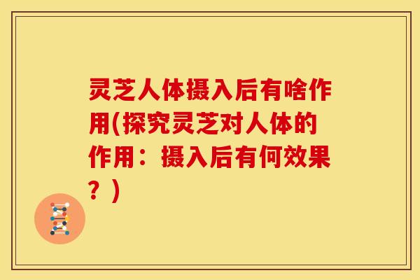 灵芝人体摄入后有啥作用(探究灵芝对人体的作用:摄入后有何效果?) 灵芝人体摄入后有啥作用(探究灵芝对人体的作用:摄入后有何效果?)
