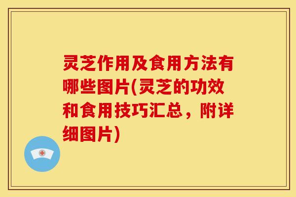 灵芝作用及食用方法有哪些图片(灵芝的功效和食用技巧汇总,附详细图片) 灵芝作用及食用方法有哪些图片(灵芝的功效和食用技巧汇总,附详细图片)