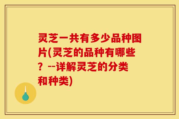 灵芝一共有多少品种图片(灵芝的品种有哪些?--详解灵芝的分类和种类) 灵芝一共有多少品种图片(灵芝的品种有哪些?--详解灵芝的分类和种类)