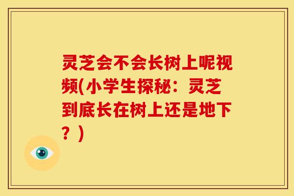 灵芝会不会长树上呢视频(小学生探秘：灵芝到底长在树上还是地下？)