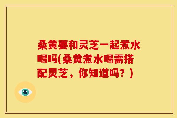 桑黄要和灵芝一起煮水喝吗(桑黄煮水喝需搭配灵芝,你知道吗?) 桑黄要和灵芝一起煮水喝吗(桑黄煮水喝需搭配灵芝,你知道吗?)