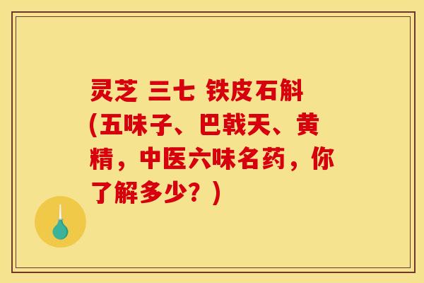 灵芝 三七 铁皮石斛(五味子、巴戟天、黄精,中医六味名药,你了解多少?) 灵芝 三七 铁皮石斛(五味子、巴戟天、黄精,中医六味名药,你了解多少?)