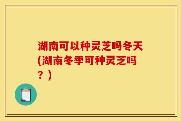 湖南可以种灵芝吗冬天(湖南冬季可种灵芝吗?) 湖南可以种灵芝吗冬天(湖南冬季可种灵芝吗?)