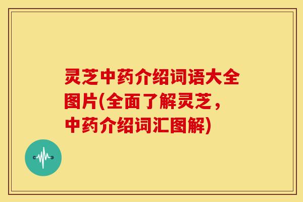 灵芝介绍词语大全图片(全面了解灵芝,介绍词汇图解) 灵芝介绍词语大全图片(全面了解灵芝,介绍词汇图解)