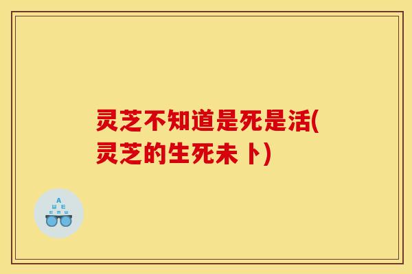 灵芝不知道是死是活(灵芝的生死未卜) 灵芝不知道是死是活(灵芝的生死未卜)