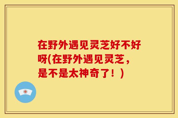 在野外遇见灵芝好不好呀(在野外遇见灵芝,是不是太神奇了!) 在野外遇见灵芝好不好呀(在野外遇见灵芝,是不是太神奇了!)