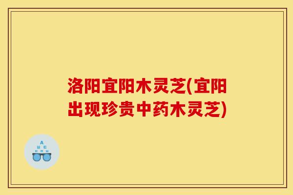 洛阳宜阳木灵芝(宜阳出现珍贵木灵芝) 洛阳宜阳木灵芝(宜阳出现珍贵木灵芝)