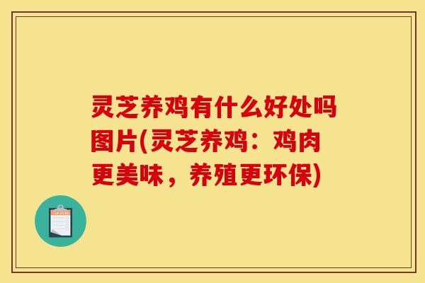 灵芝养鸡有什么好处吗图片(灵芝养鸡:鸡肉更美味,养殖更环保) 灵芝养鸡有什么好处吗图片(灵芝养鸡:鸡肉更美味,养殖更环保)