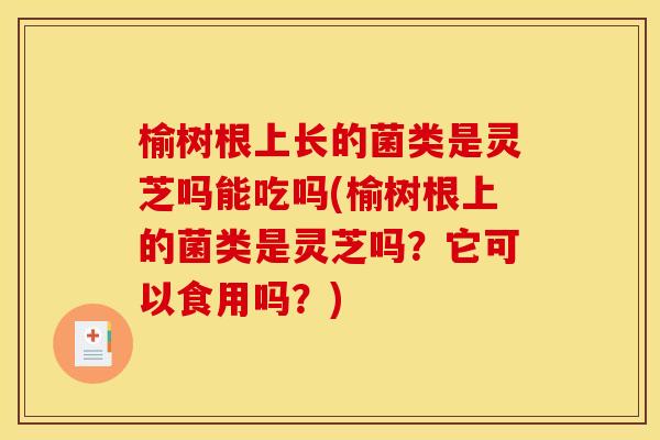 榆树根上长的菌类是灵芝吗能吃吗(榆树根上的菌类是灵芝吗？它可以食用吗？)