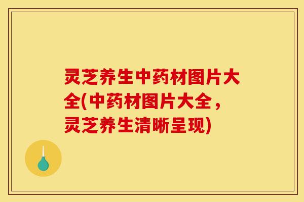 灵芝养生材图片大全(材图片大全,灵芝养生清晰呈现) 灵芝养生材图片大全(材图片大全,灵芝养生清晰呈现)