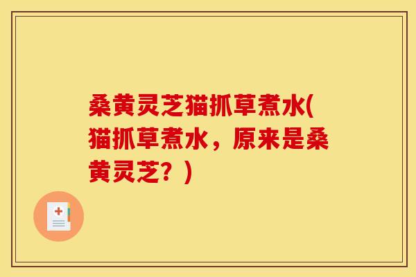 桑黄灵芝猫抓草煮水(猫抓草煮水,原来是桑黄灵芝?) 桑黄灵芝猫抓草煮水(猫抓草煮水,原来是桑黄灵芝?)