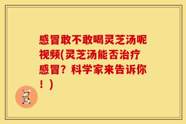 敢不敢喝灵芝汤呢视频(灵芝汤能否?科学家来告诉你!) 敢不敢喝灵芝汤呢视频(灵芝汤能否?科学家来告诉你!)