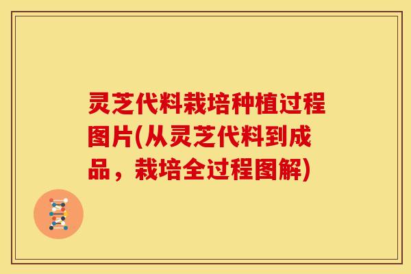 灵芝代料栽培种植过程图片(从灵芝代料到成品,栽培全过程图解) 灵芝代料栽培种植过程图片(从灵芝代料到成品,栽培全过程图解)