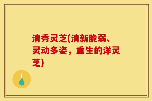 清秀灵芝(清新脆弱、灵动多姿，重生的洋灵芝)