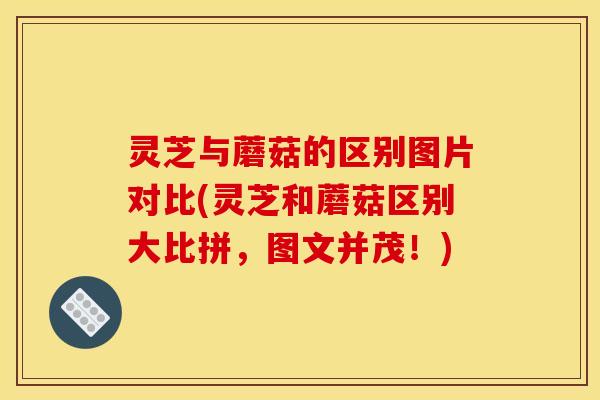 灵芝与蘑菇的区别图片对比(灵芝和蘑菇区别大比拼，图文并茂！)