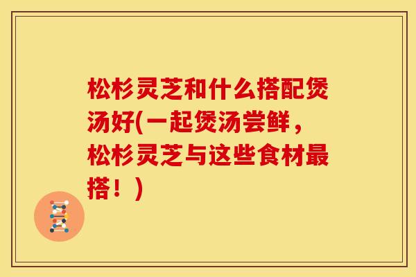 松杉灵芝和什么搭配煲汤好(一起煲汤尝鲜,松杉灵芝与这些食材搭!) 松杉灵芝和什么搭配煲汤好(一起煲汤尝鲜,松杉灵芝与这些食材搭!)