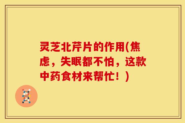 灵芝北芹片的作用(,都不怕,这款食材来帮忙!) 灵芝北芹片的作用(,都不怕,这款食材来帮忙!)