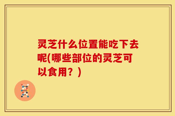 灵芝什么位置能吃下去呢(哪些部位的灵芝可以食用?) 灵芝什么位置能吃下去呢(哪些部位的灵芝可以食用?)