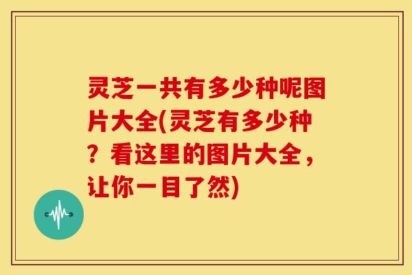 灵芝一共有多少种呢图片大全(灵芝有多少种？看这里的图片大全，让你一目了然)