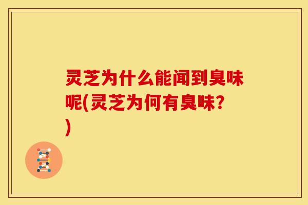 灵芝为什么能闻到臭味呢(灵芝为何有臭味?) 灵芝为什么能闻到臭味呢(灵芝为何有臭味?)