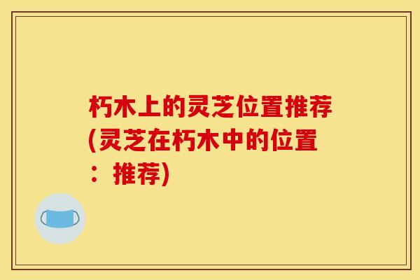 朽木上的灵芝位置推荐(灵芝在朽木中的位置:推荐) 朽木上的灵芝位置推荐(灵芝在朽木中的位置:推荐)