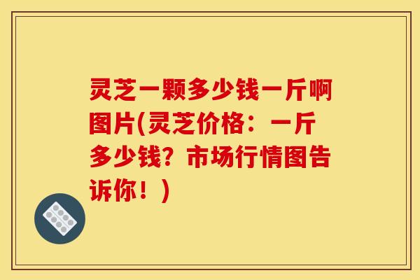 灵芝一颗多少钱一斤啊图片(灵芝价格:一斤多少钱?市场行情图告诉你!) 灵芝一颗多少钱一斤啊图片(灵芝价格:一斤多少钱?市场行情图告诉你!)