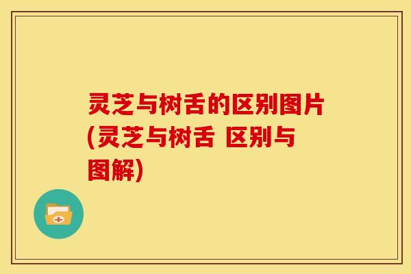 灵芝与树舌的区别图片(灵芝与树舌 区别与图解) 灵芝与树舌的区别图片(灵芝与树舌 区别与图解)