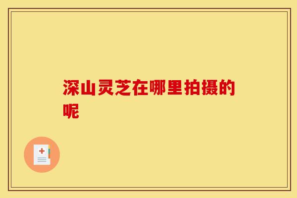 深山灵芝在哪里拍摄的呢 深山灵芝在哪里拍摄的呢