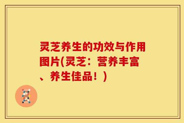 灵芝养生的功效与作用图片(灵芝:营养丰富、养生佳品!) 灵芝养生的功效与作用图片(灵芝:营养丰富、养生佳品!)