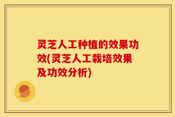 灵芝人工种植的效果功效(灵芝人工栽培效果及功效分析) 灵芝人工种植的效果功效(灵芝人工栽培效果及功效分析)
