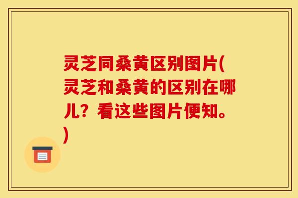 灵芝同桑黄区别图片(灵芝和桑黄的区别在哪儿?看这些图片便知。) 灵芝同桑黄区别图片(灵芝和桑黄的区别在哪儿?看这些图片便知。)