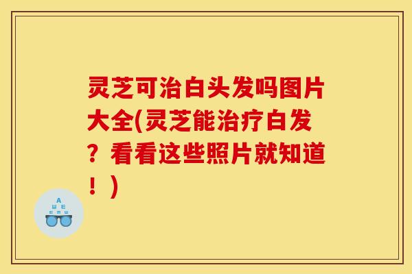 灵芝可白头发吗图片大全(灵芝能白发?看看这些照片就知道!) 灵芝可白头发吗图片大全(灵芝能白发?看看这些照片就知道!)