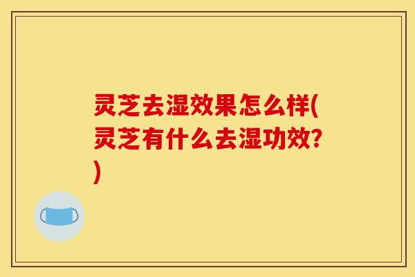 灵芝去湿效果怎么样(灵芝有什么去湿功效?) 灵芝去湿效果怎么样(灵芝有什么去湿功效?)